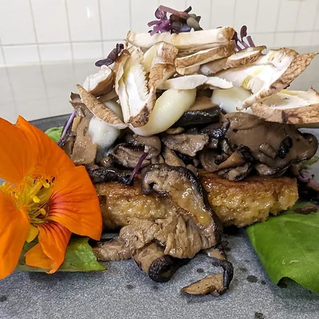 فندق Am Fleesensee مالتشو