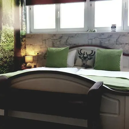 Am Fleesensee فندق 3*