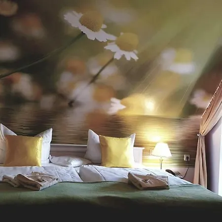 ホテル Am Fleesensee マルヒョー